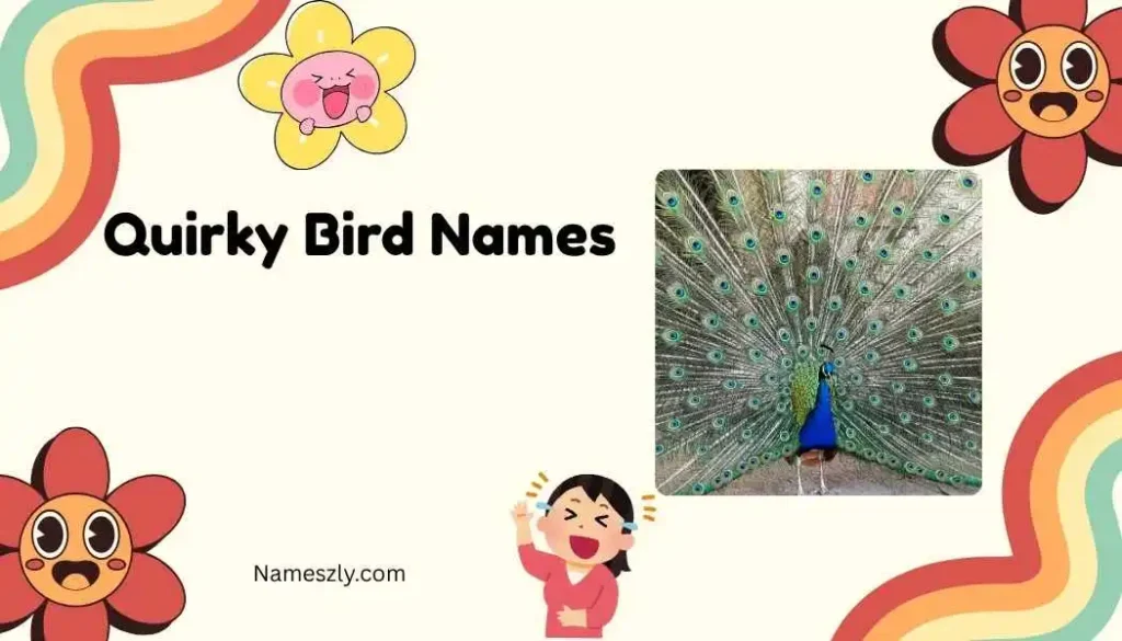 Quirky Bird Names