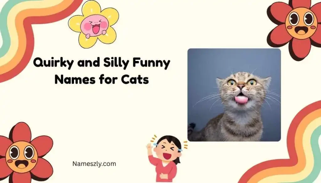 Quirky and Silly Funny Names for Cats