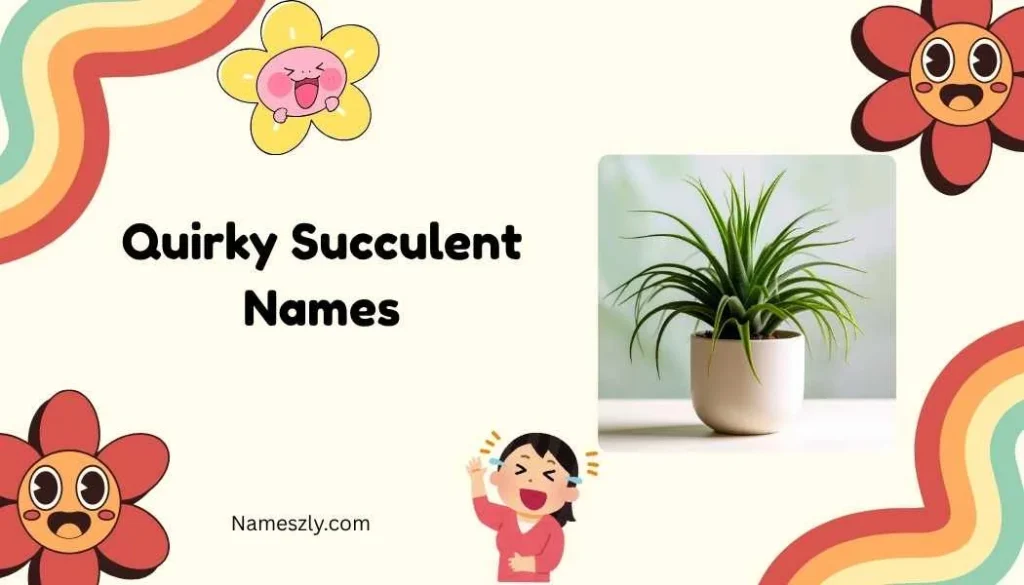 Quirky Succulent Names