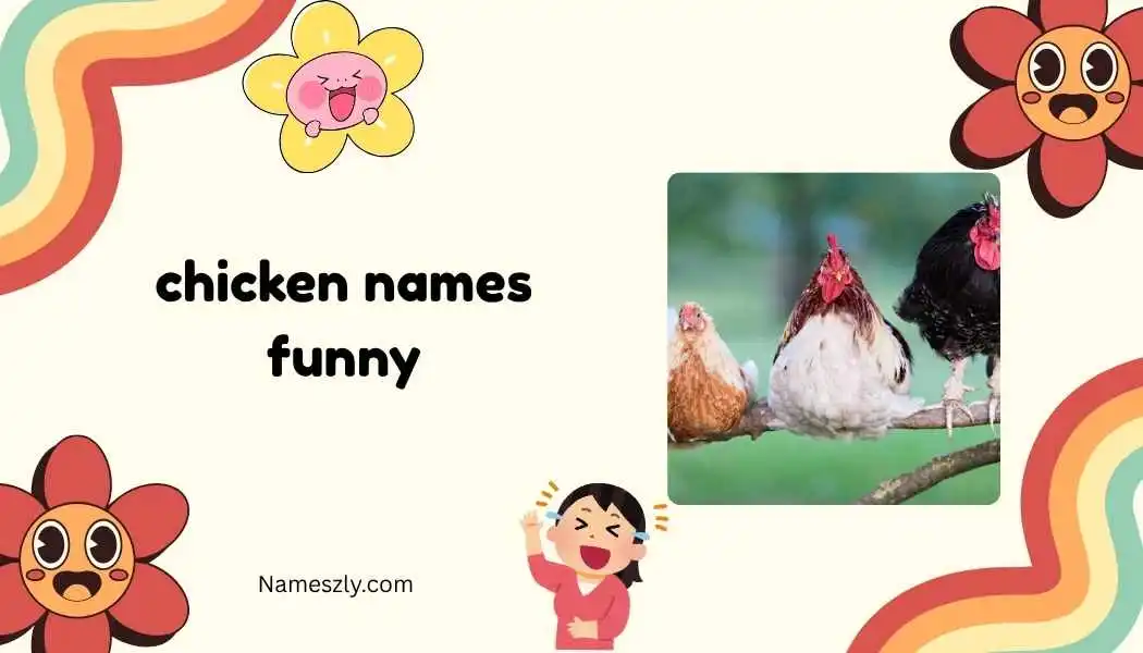 chicken names funny