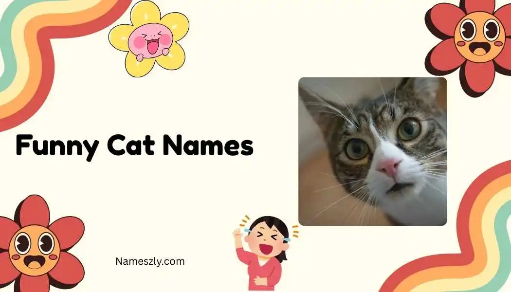 Funny Cat Names