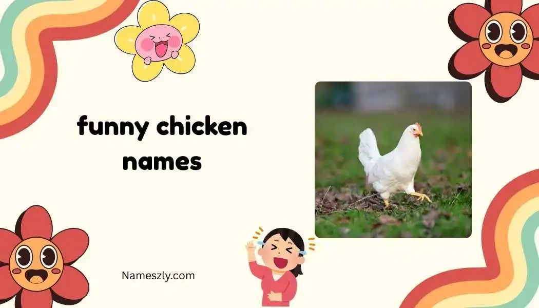 funny chicken names