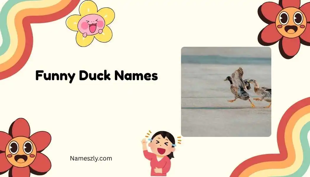 Funny Duck Names