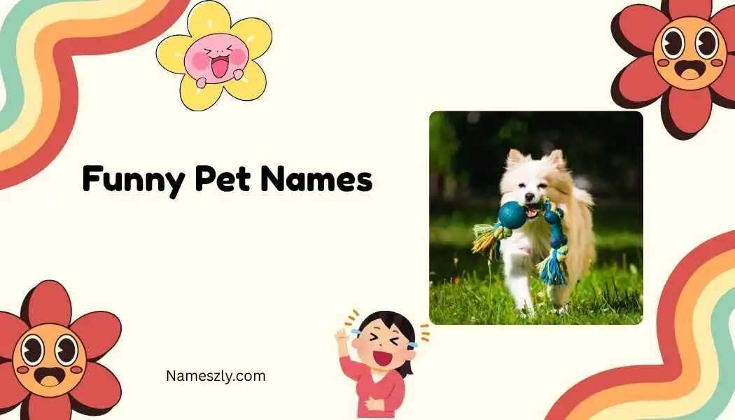 Funny Pet Names