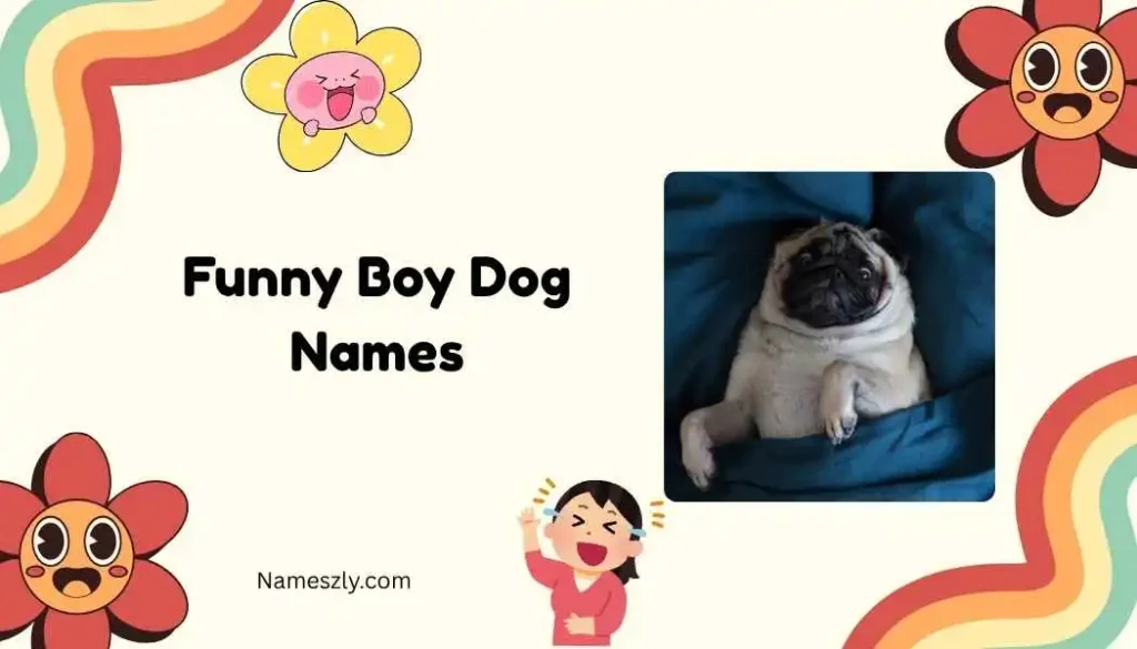 Big Dog Funny Boy Dog Names