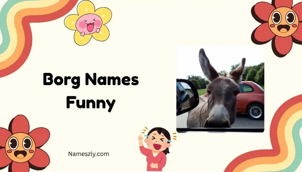 Borg Names Funny