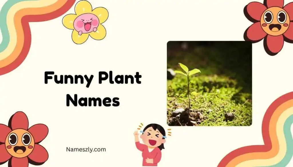Catchy names for plants