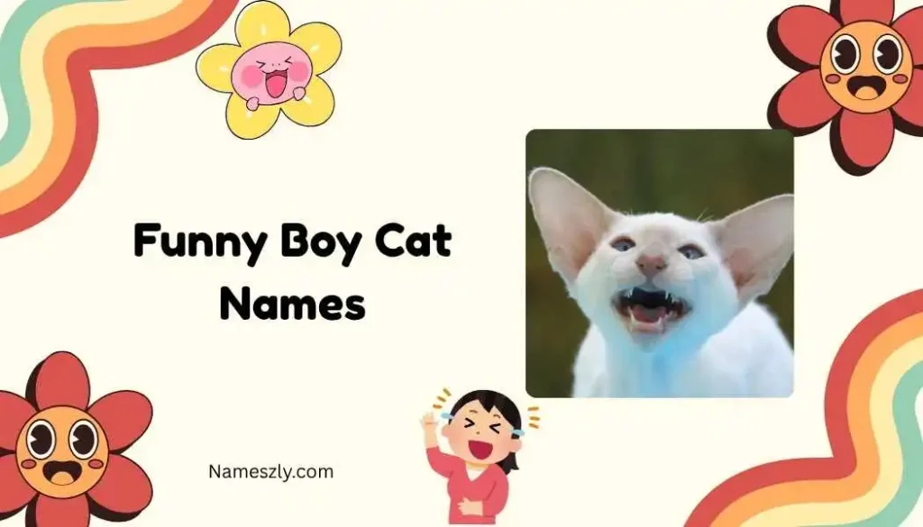 Classic Funny Boy Cat Names