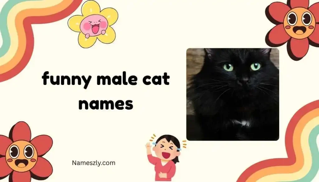 Classic Funny Male Cat Names