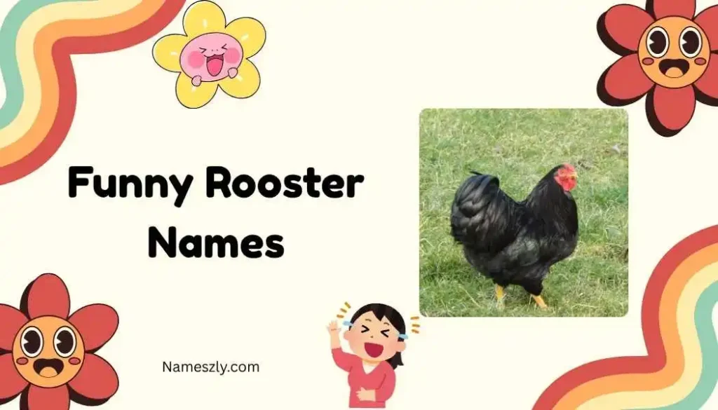 Classic Funny Rooster Names