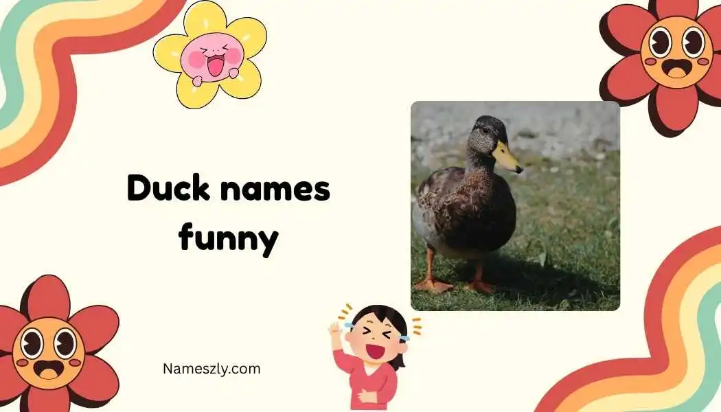 duck names funny