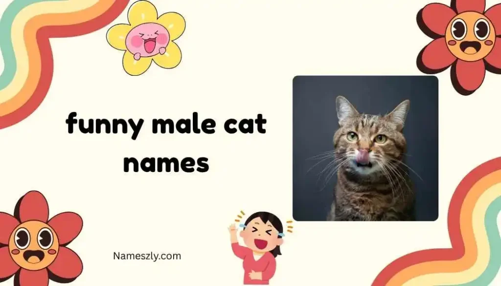 Food-Inspired Funny Male Cat Names