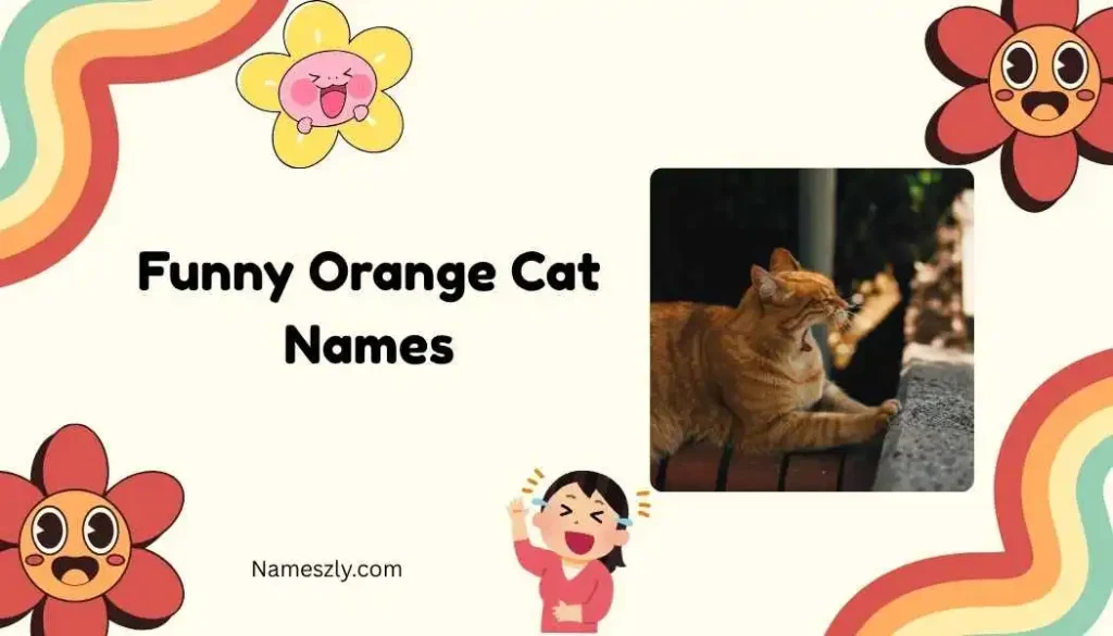 Food-Inspired Funny Orange Cat Names