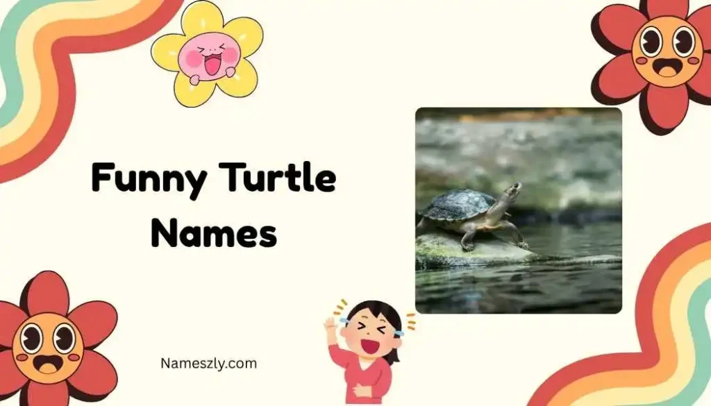 Food-Inspired Turtle Names