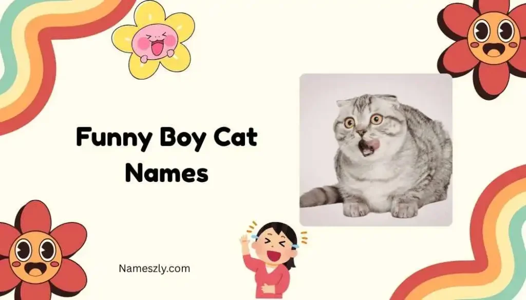Food-Themed Funny Boy Cat Names