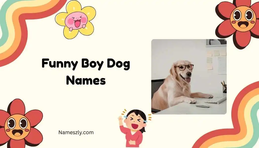 Funny Boy Dog Names