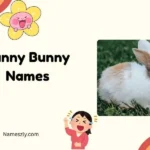 Funny Bunny Names