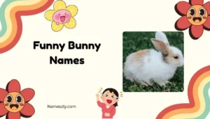 Funny Bunny Names