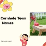 Funny Cornhole Team Names