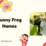 Funny Frog Names