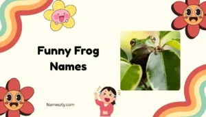 Funny Frog Names