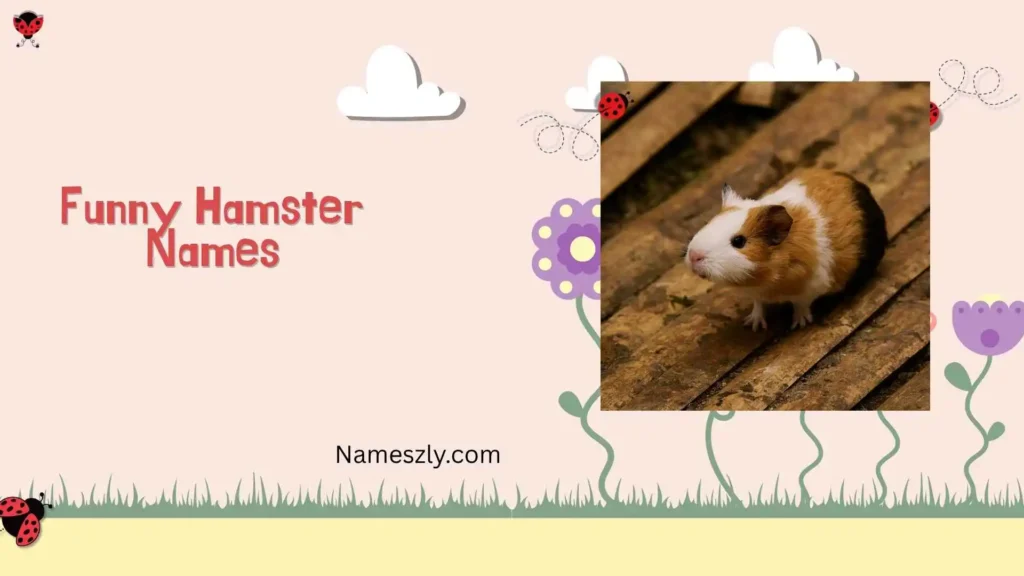 Funny hamster names male