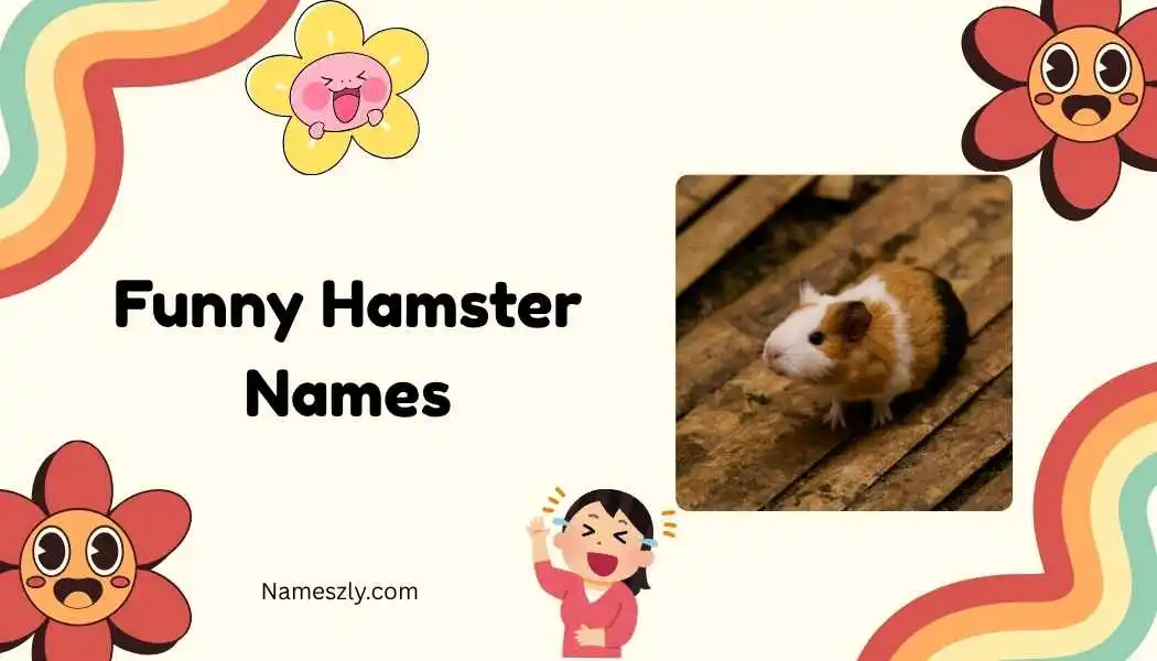 Funny Hamster Names
