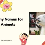 Funny Names for Animals