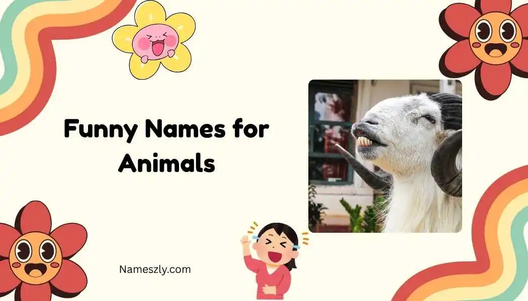 Funny Names for Animals