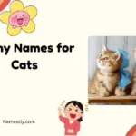 Funny Names for Cats
