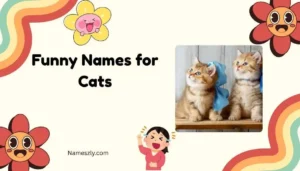 Funny Names for Cats
