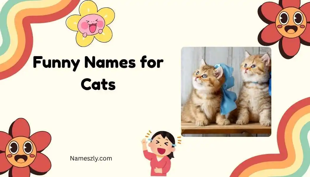 Funny Names for Cats