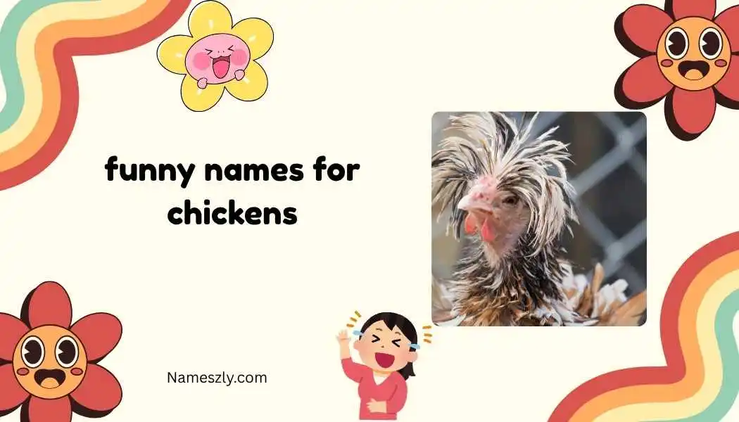 Classic Funny Chicken Names