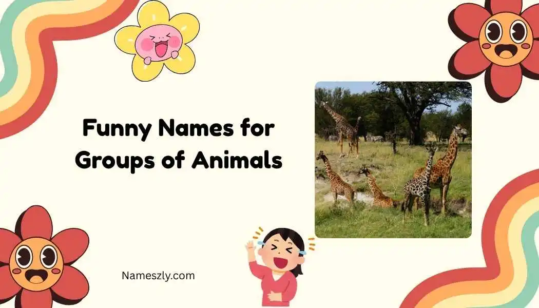 Funny Names for Groups of Animals