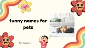 funny names for pets