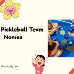 Funny Pickleball Team Names