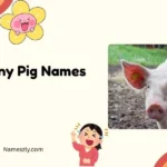 Funny Pig Names