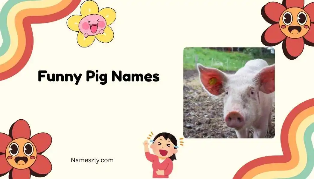 Funny Pig Names