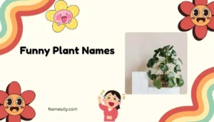 Funny Plant Names