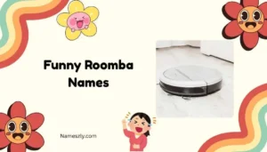 Funny Roomba Names