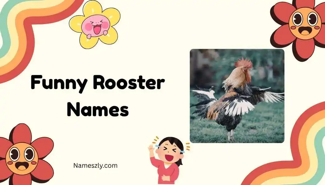 Funny Rooster Names