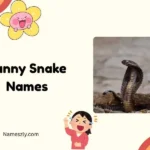 Funny Snake Names