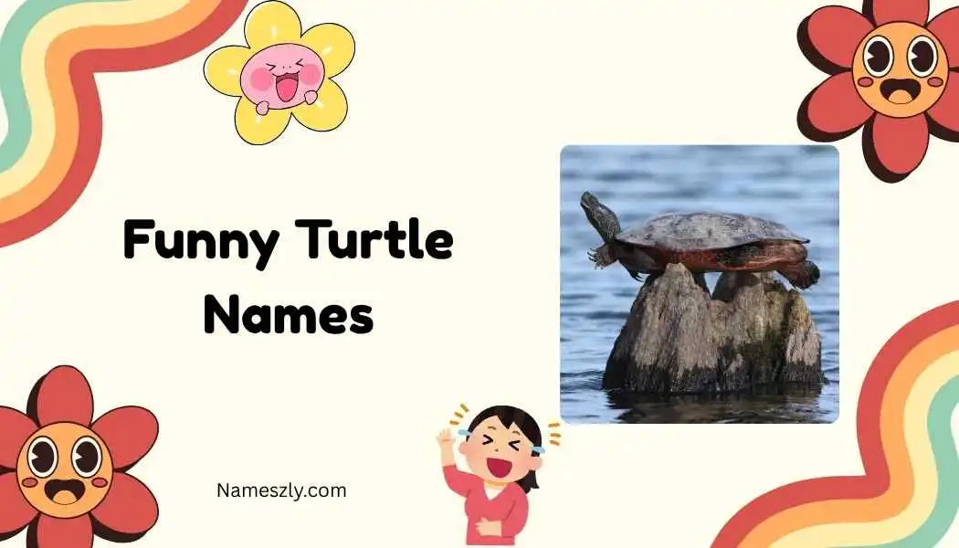 Funny Turtle Names