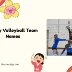 Funny Volleyball Team Names