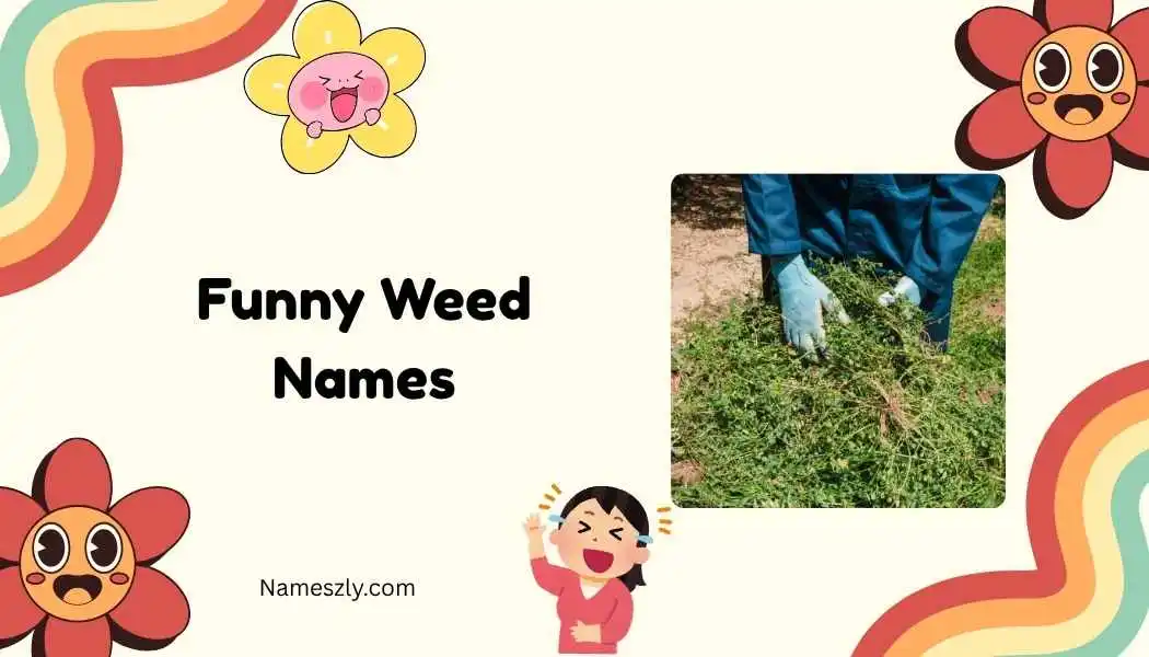 Funny Weed Names