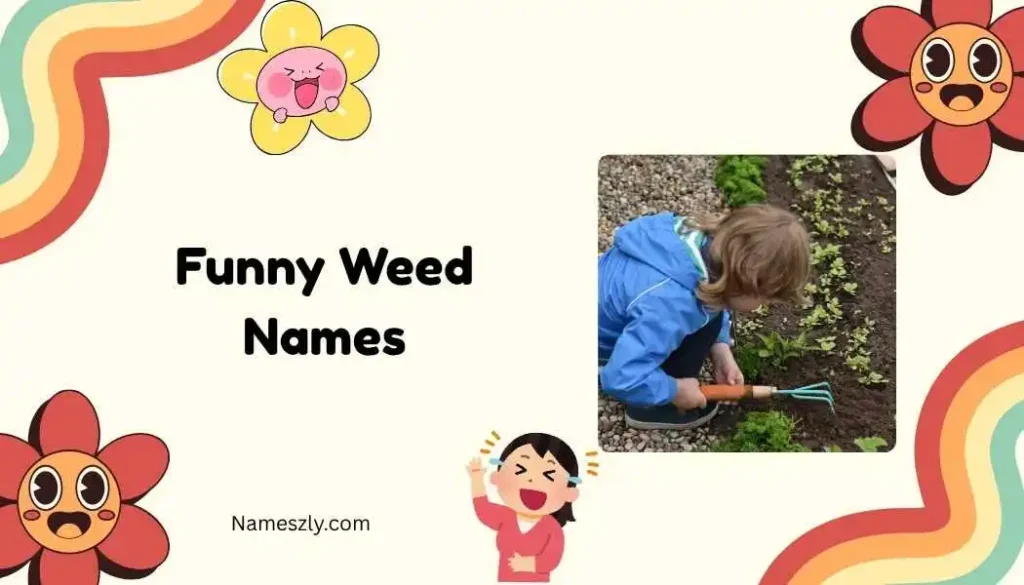 Hilarious Strain-Inspired Names