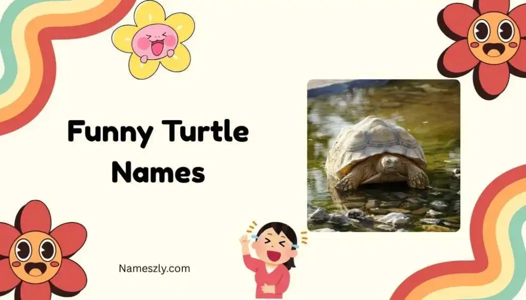 Hilarious Turtle Names