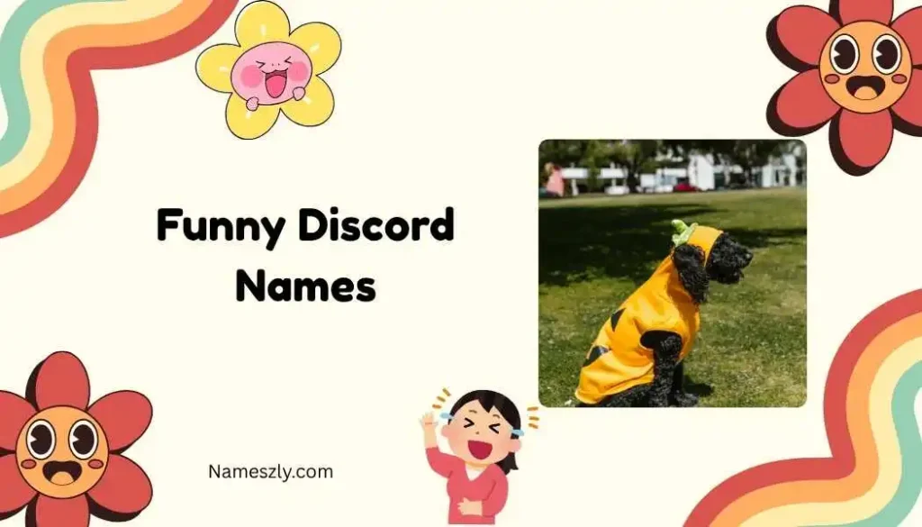 Meme Style Funny Discord Names
