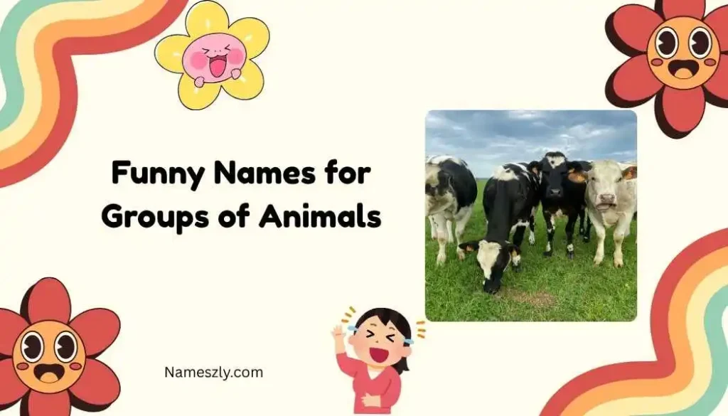 Ocean Animal Funny Group Names