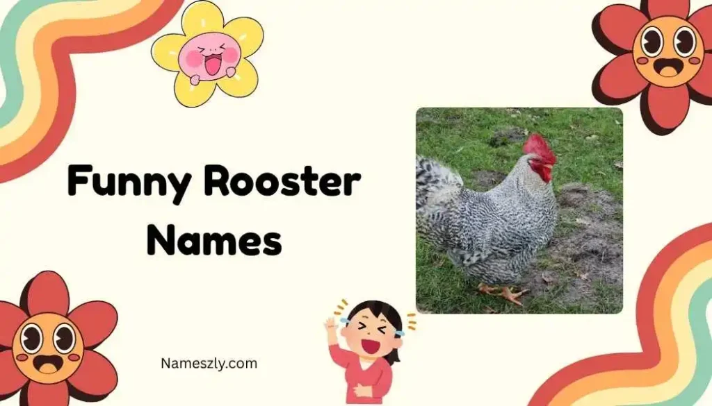 Pop Culture Funny Rooster Names